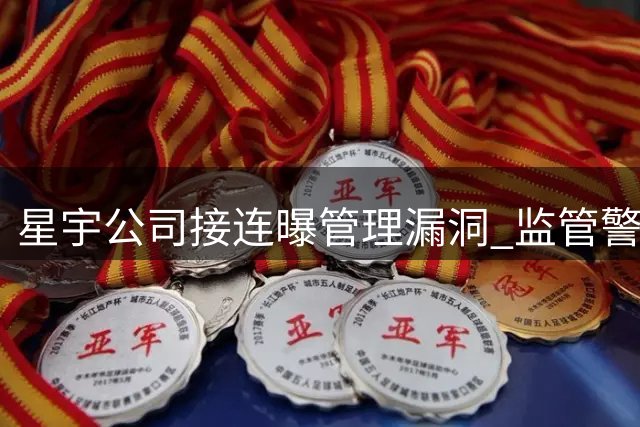 星宇公司接连曝管理漏洞 监管警示引发股价下跌